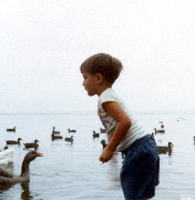 Andy McDougal; Dresden NY Family ducks
